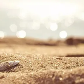 Discover Tu Mente