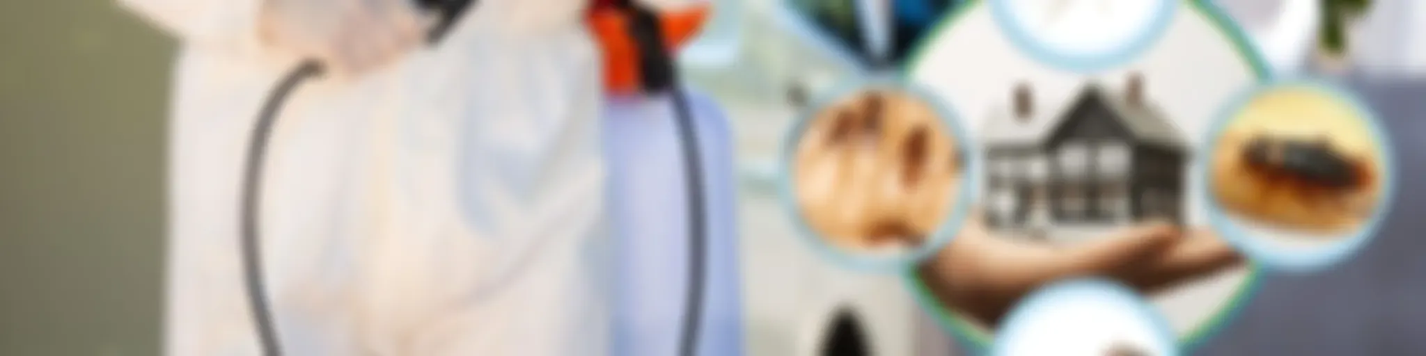 Pest Control Services in Anaheim, CA