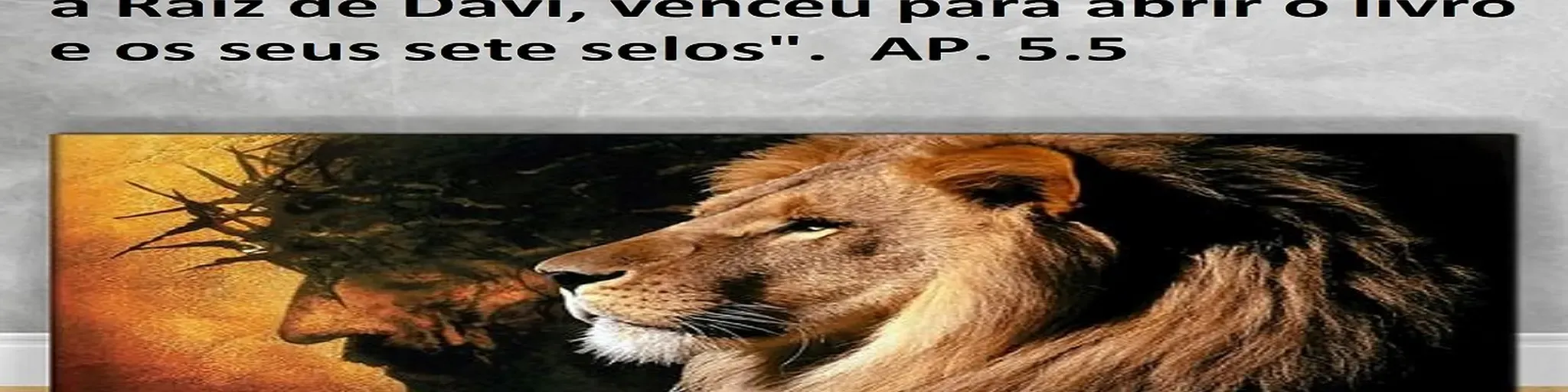 WEB RÁDIO FILHOS DE LEÃO