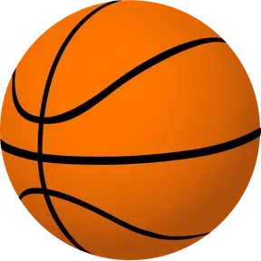 Blizzards Basketball