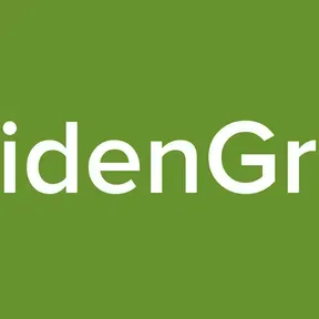 RaidenGraff