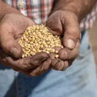 What's in the long-awaited farmer relief package