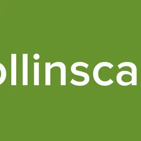 Dollinscape