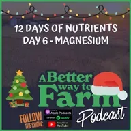 12 Days of Nutrients - Day 6: Magnesium