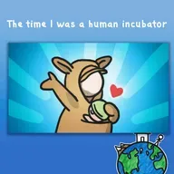 The time I was a human incubator