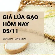 Giá lúa gạo hôm nay 5/11: Giá gạo giảm nhẹ 50 - 150 đồng/kg