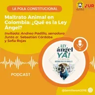 Maltrato Animal en Colombia - ¿Qué es la Ley Ángel? Junto a Andrea Padilla