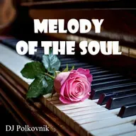 Dj Polkovnik - Melody of the soul (Мелодия души)