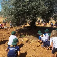 Un viaje sensorial entre olivos, vino y diversión en familia