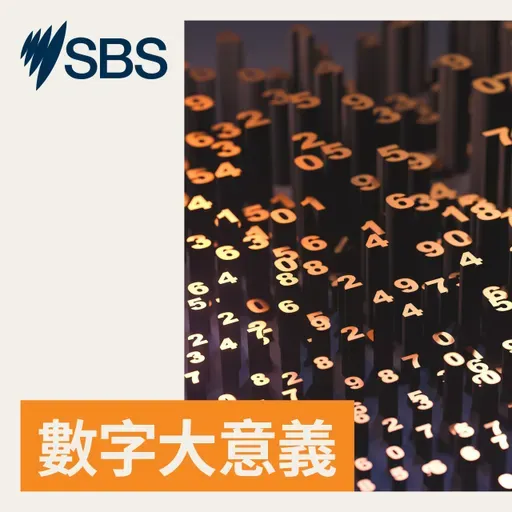 【1356】網絡上一個神秘倒數