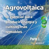Agrovoltaica: lo esencial para producir energía y cultivos más rentables – Parte 1