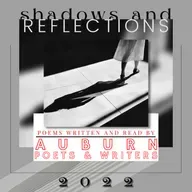 "Beyond the Shadows of Doubt" by David L. Falcon