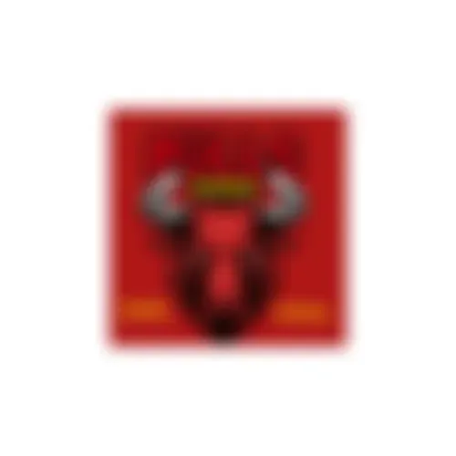 Metalica Bulls Romania