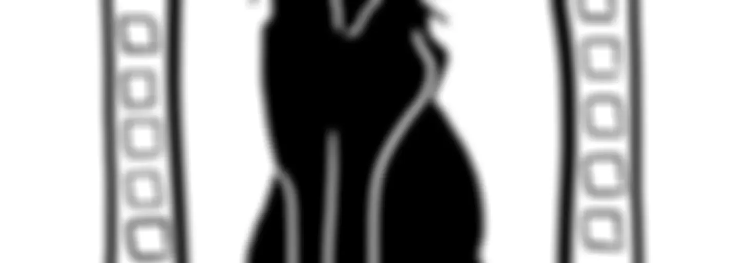 怀炉写真机KairoCamera