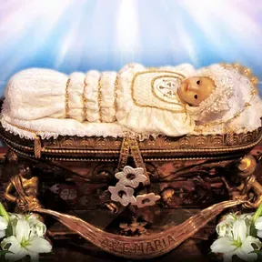 Feed Nativity of virgin mary