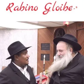 Rabino Gloiber 