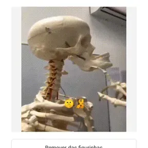 BRASIL RP