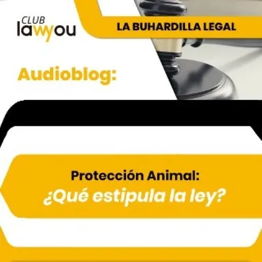 Protección Animal: ¿Qué estipula la ley?