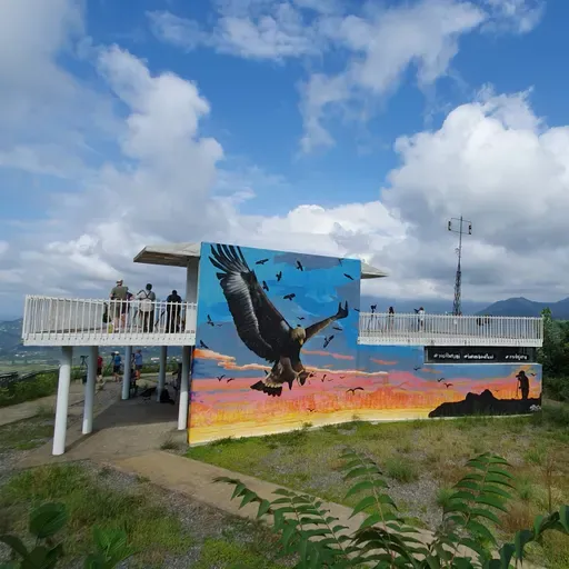 Наблюдение за перелетом птиц