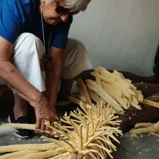 105 她在危地马拉、厄瓜多尔、尼加拉瓜的158天｜产地见闻录