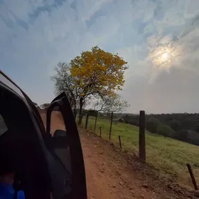 voz do criador