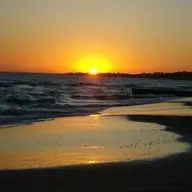 Por qué mis semillas no prosperan?