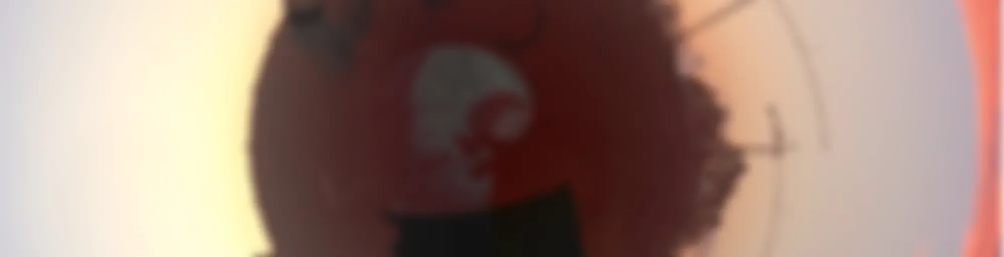 dgoodshow