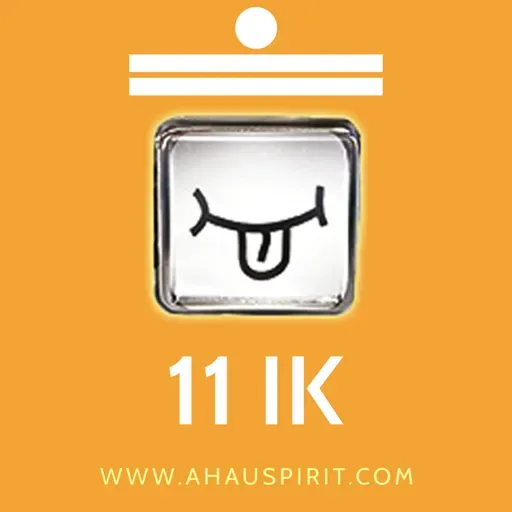 11 IK (Kin 102) - Meditación de la Energía del Día (KIN) con la Venerable Abuela Nah Kin.