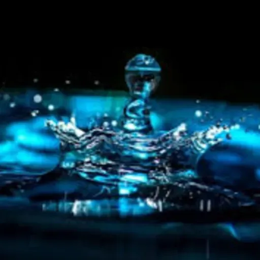 Opor que a agua e molhada?