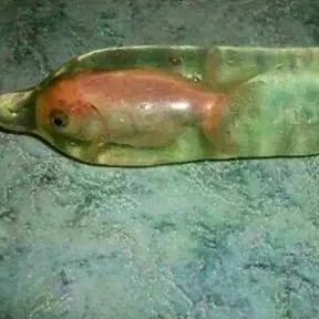 Putasls