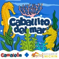Caballito de Mar: El papá que da a luz