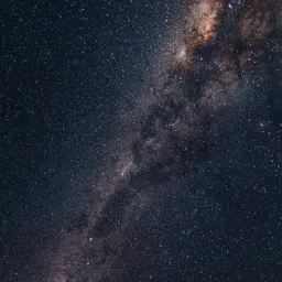 Argonauta