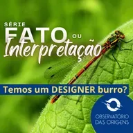 [Série] Fato ou Interpretação? - O Designer não é tão inteligente. Será?