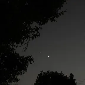 adelynights
