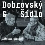 Nejdůležitější volby našich životů: Jak Topolánek s Paroubkem přivedli své strany na vrchol. A pak z něj spadli (2006 - 2010)