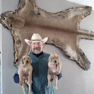 Cal Allen: Lessons From a Life Hunting Lions & Bears With Cur Dogs Episode 1