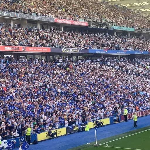 United We Stand podcast 730. Brighton away.