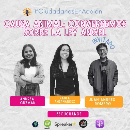 Causa Animal: conversemos sobre la Ley Ángel