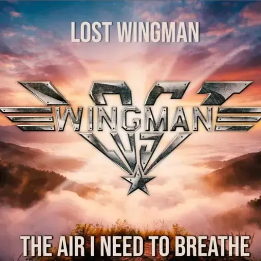 Entrevista a Lost Wingman