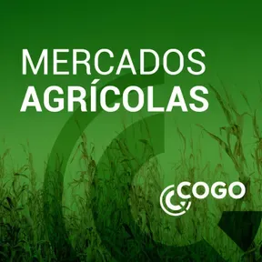 Mercados Agrícolas