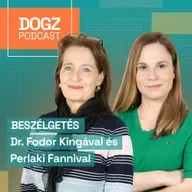 Boldogtalanná teszed a kutyád, ha ezt teszed