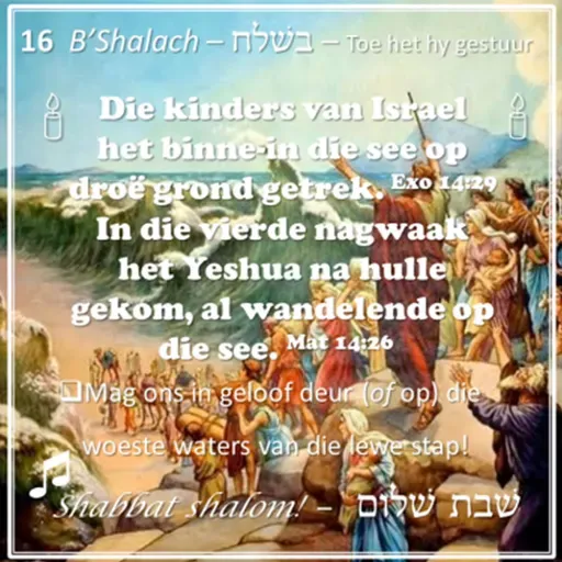 Parashat B'shalach