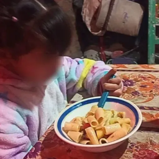 Un proyecto de ley contra el hambre infantil: ¿Cómo enfrentar la inseguridad alimentaria en Mendoza?"