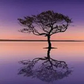 NEW AGE - CELTA - ERUDITA - MEDITAÇÃO - FOLK