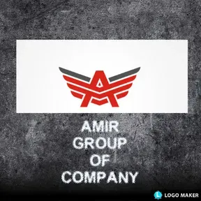 AMIR GROUP OF COMPANY FM