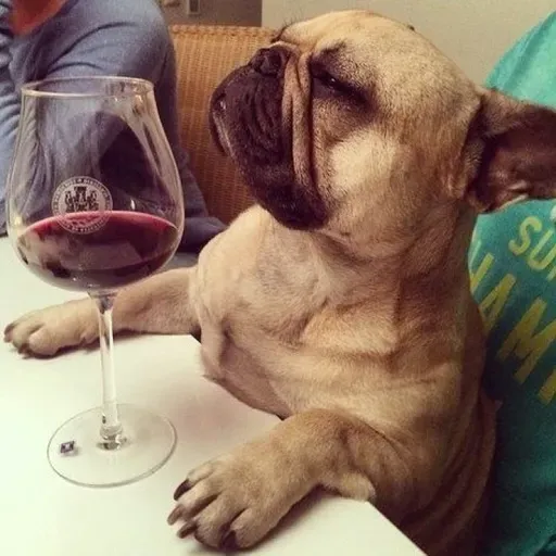 Trucos para pagar menos por vinos TOP de Borgoña