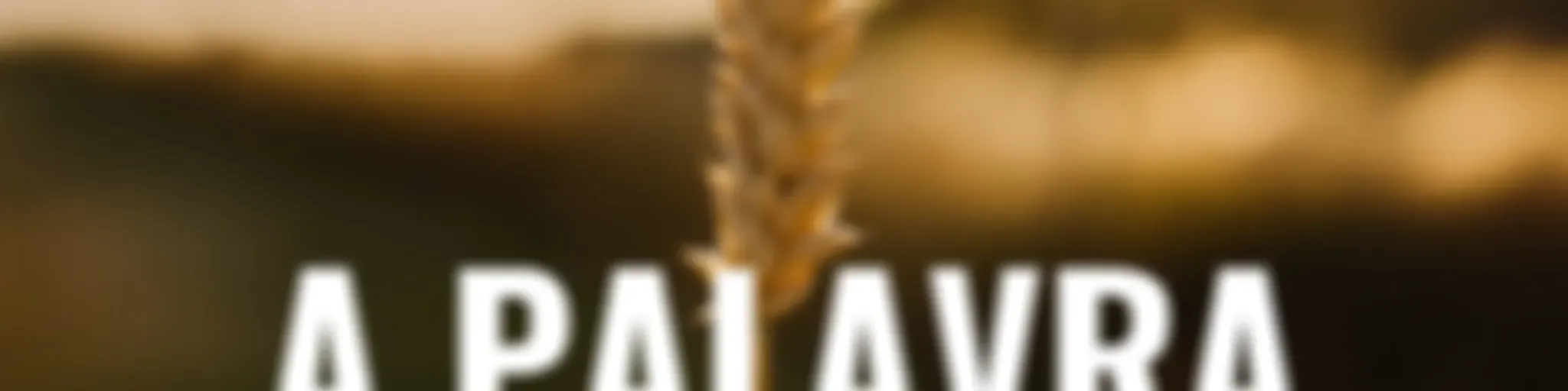 A PALAVRA RESPONDE
