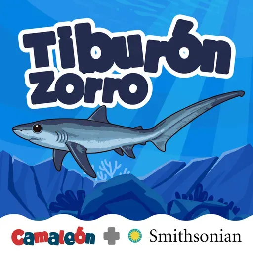 Tiburón zorro: La cola que golpea el océano