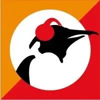 Pinguin Indie
