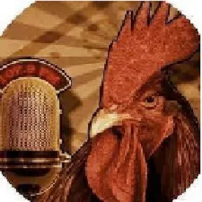 Radioelmiradordelgallo